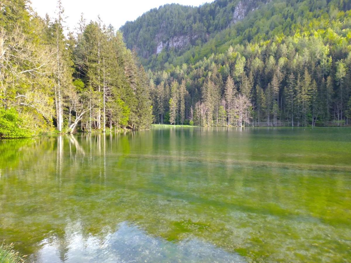 Camping & Glamping Grintovec Preddvor Eksteriør billede