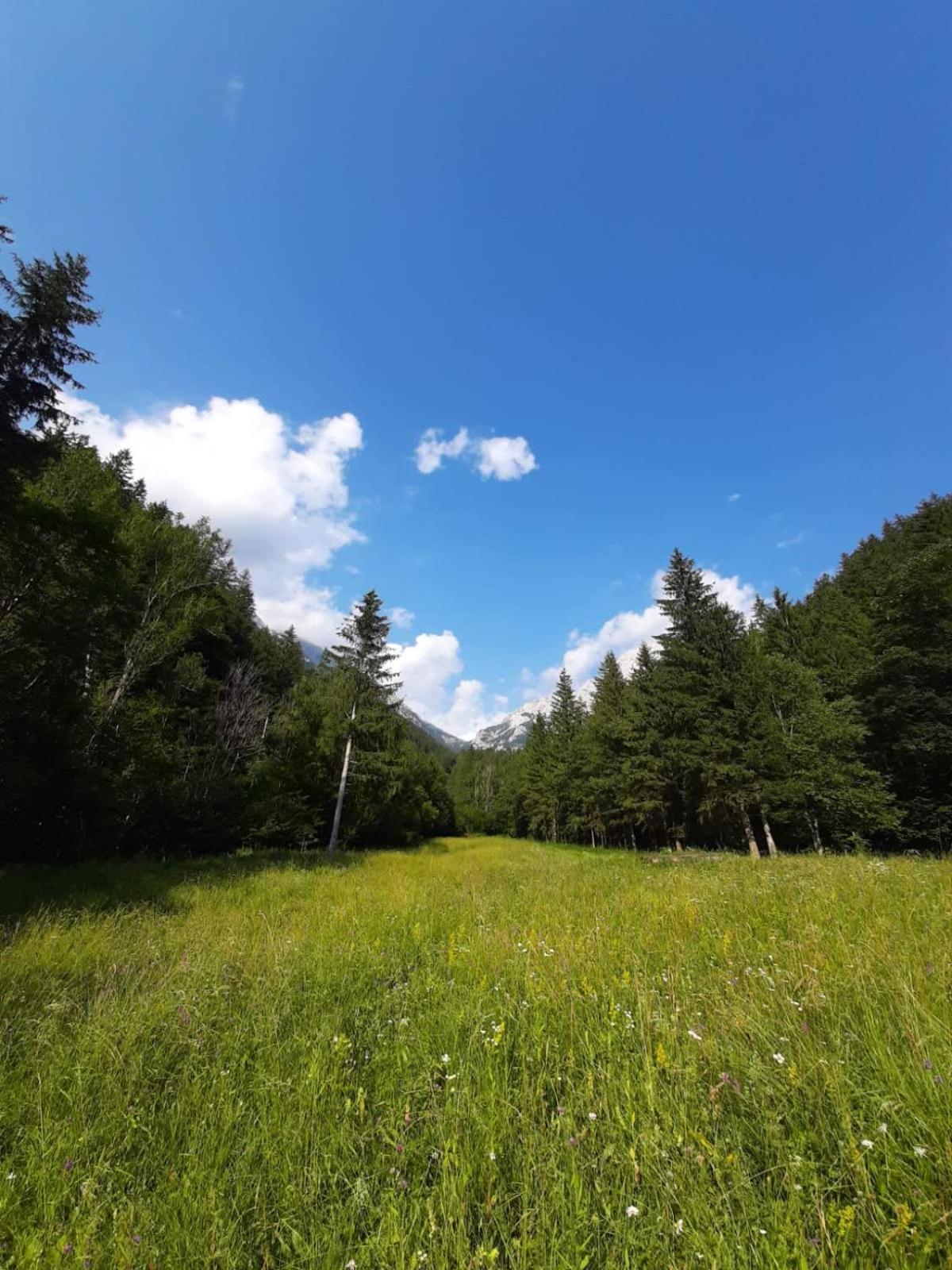 Camping & Glamping Grintovec Preddvor Eksteriør billede